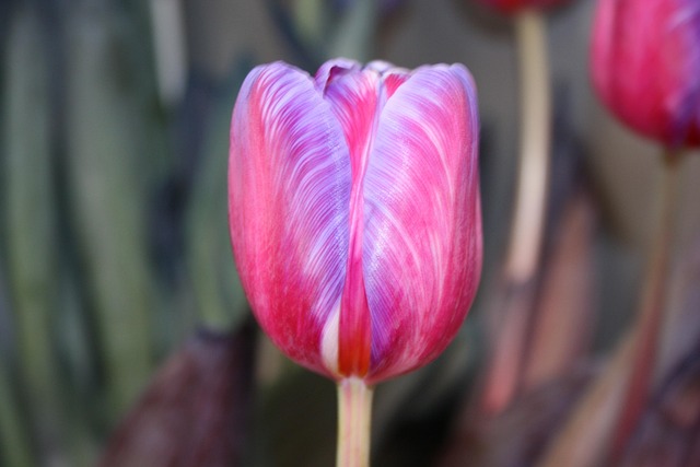 Hình ảnh minh họa ý nghĩa của từ unfairness