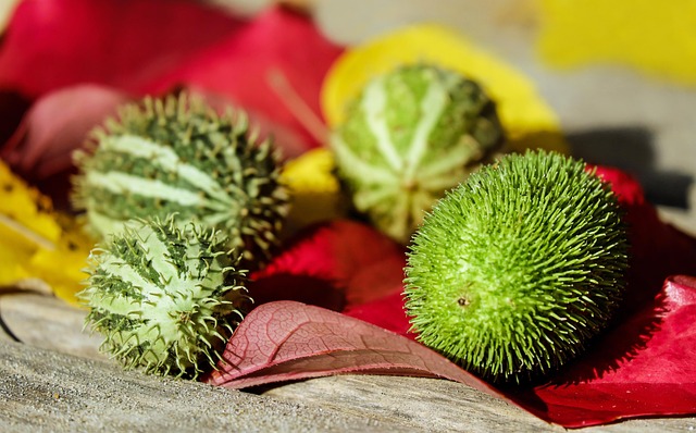 Hình ảnh minh họa ý nghĩa của từ unfit