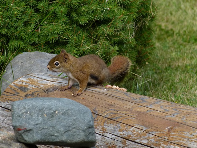 Hình ảnh minh họa ý nghĩa của từ uninvited