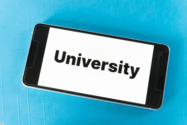 university application