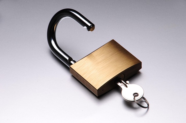 unlocked version