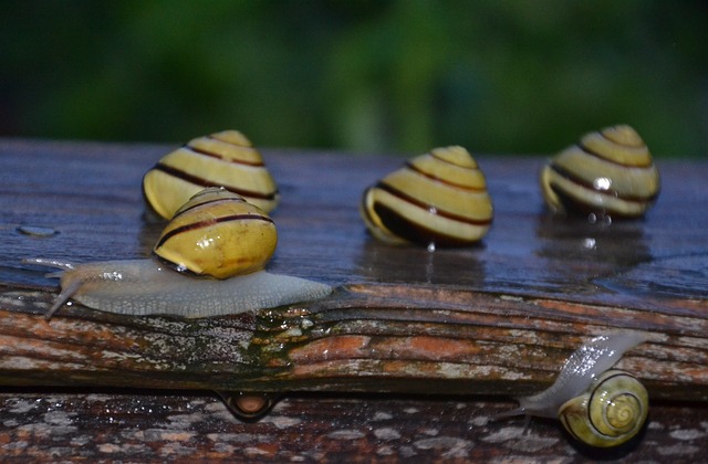 Hình ảnh minh họa ý nghĩa của từ unloving