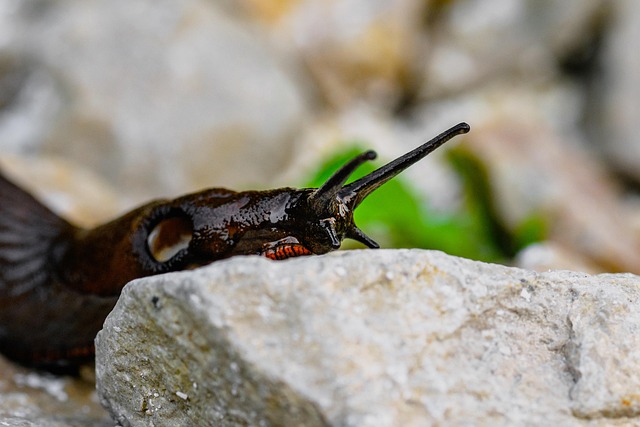Hình ảnh minh họa ý nghĩa của từ unpopular