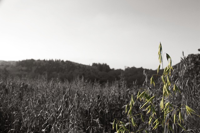 Hình ảnh minh họa ý nghĩa của từ unsympathetic