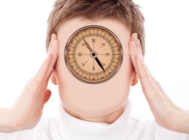 Hình ảnh minh họa ý nghĩa của từ unsystematic