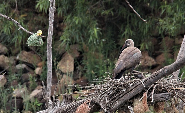 Hình ảnh minh họa ý nghĩa của từ untidiness