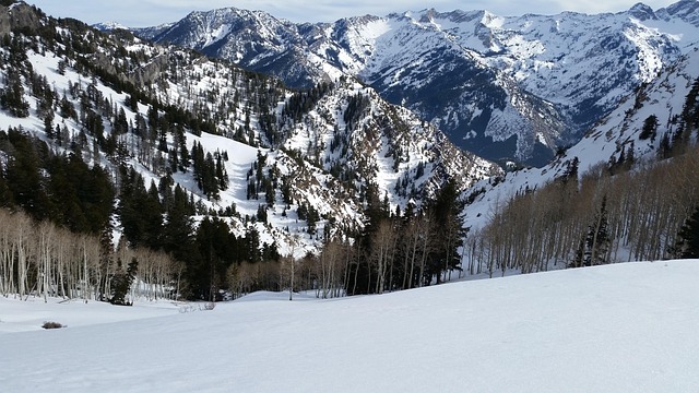 untouched white