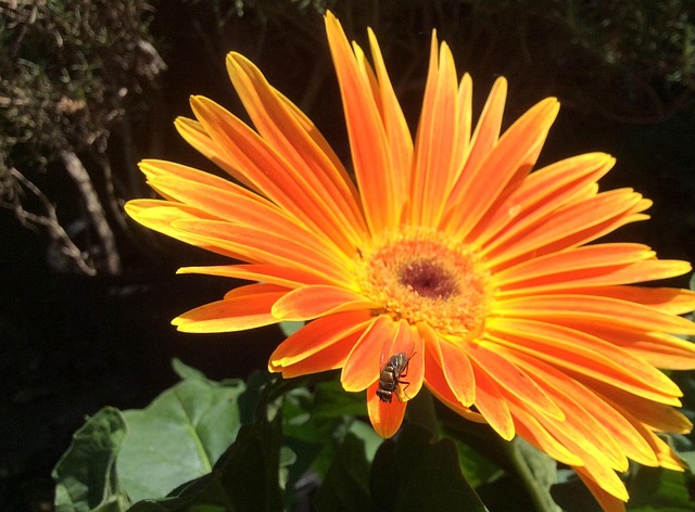 Hình ảnh minh họa ý nghĩa của từ unwelcoming