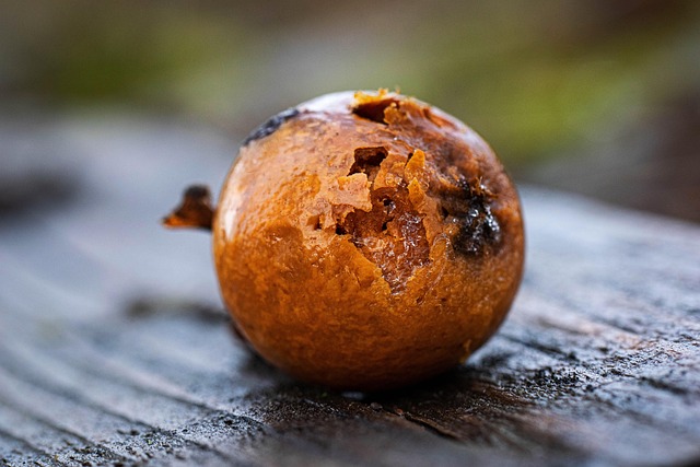 Hình ảnh minh họa ý nghĩa của từ unworthy