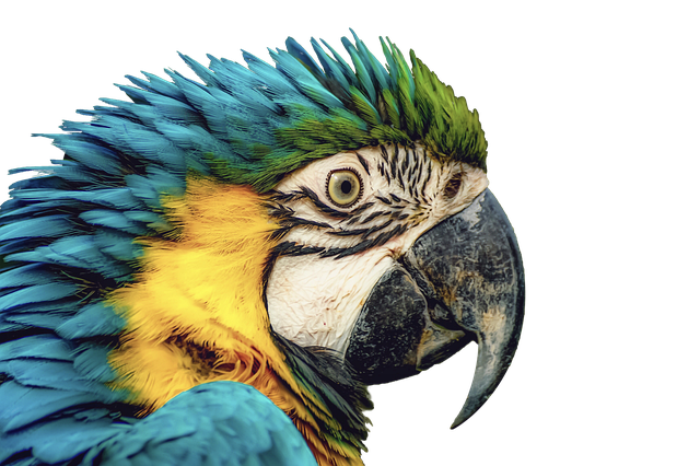 Hình ảnh minh họa ý nghĩa của từ up to par