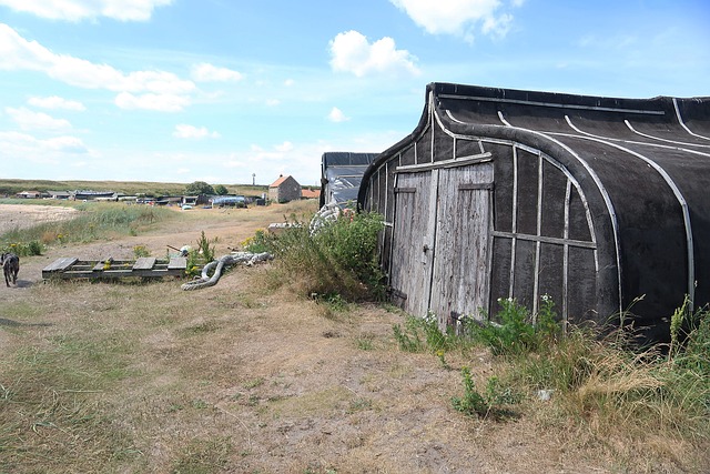 Hình ảnh minh họa ý nghĩa của từ upturn