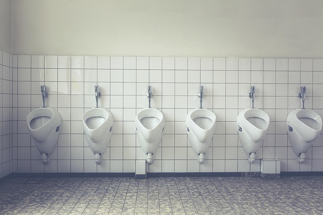 Hình ảnh minh họa ý nghĩa của từ urinal