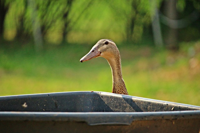 Hình ảnh minh họa ý nghĩa của từ usability