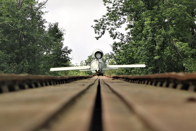 v1