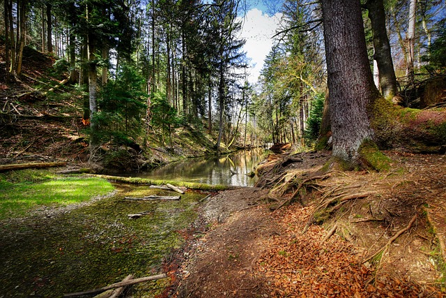 Hình ảnh minh họa ý nghĩa của từ valley bottom