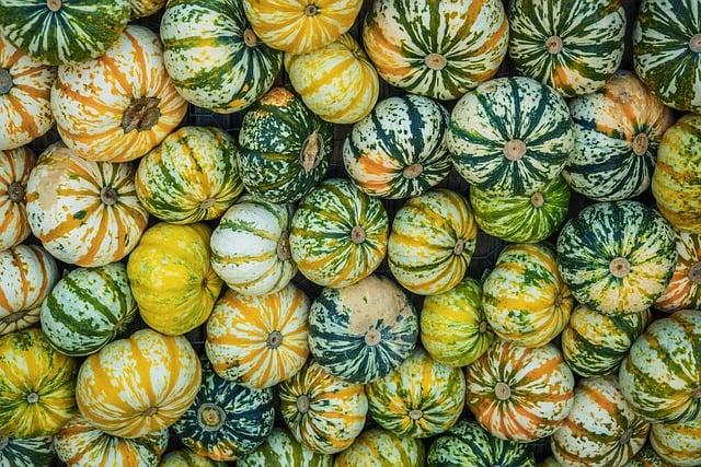 variety of colors