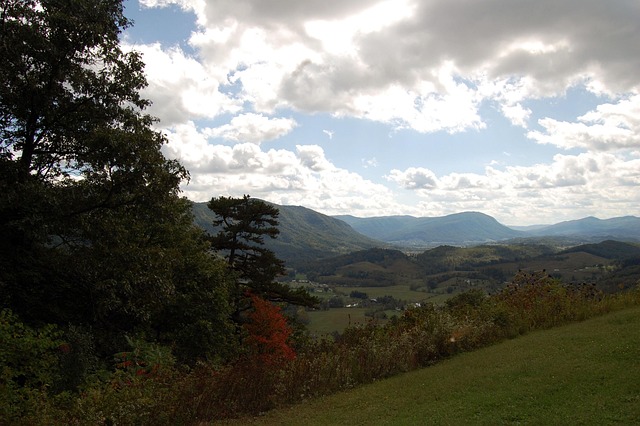 Hình ảnh minh họa ý nghĩa của từ vas deferens