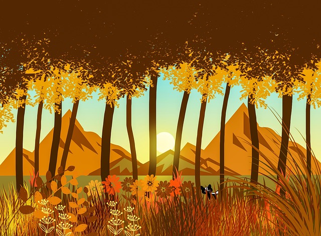 Hình ảnh minh họa ý nghĩa của từ vector graphic