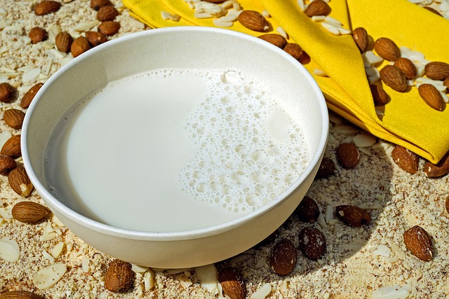 vegan milk
