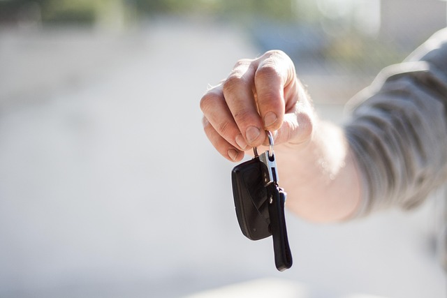 vehicle ownership