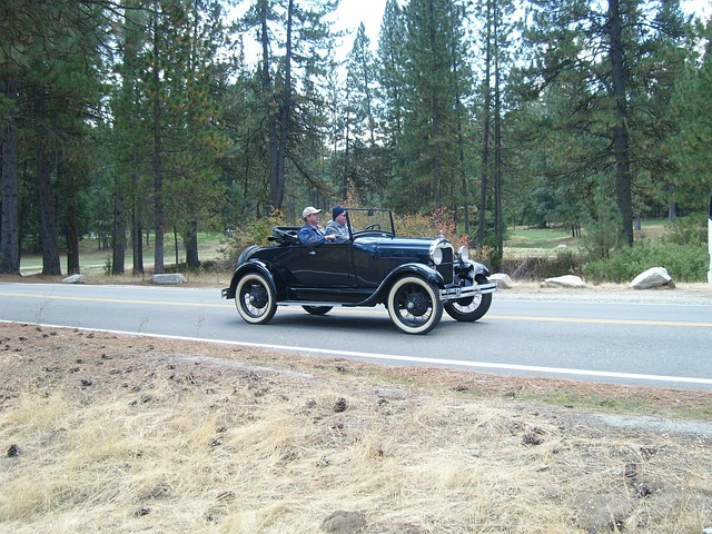 vehicle rental