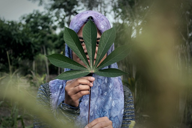 Hình ảnh minh họa ý nghĩa của từ veil