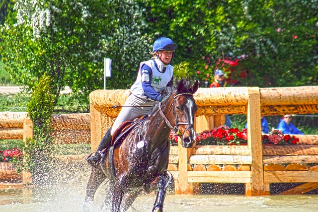 Hình ảnh minh họa ý nghĩa của từ versatilely