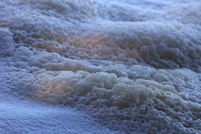 Hình ảnh minh họa ý nghĩa của từ vesicle