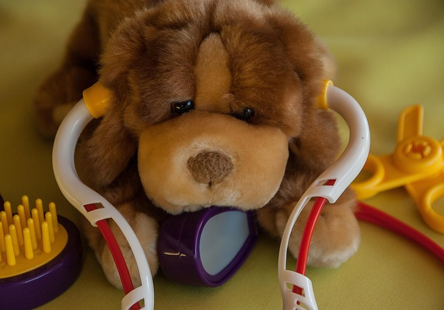 Hình ảnh minh họa ý nghĩa của từ veterinary