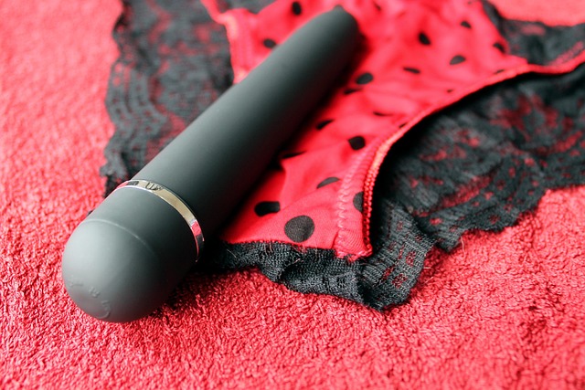 Hình ảnh minh họa ý nghĩa của từ vibrator
