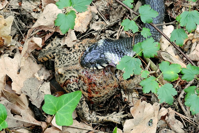 Hình ảnh minh họa ý nghĩa của từ victimise