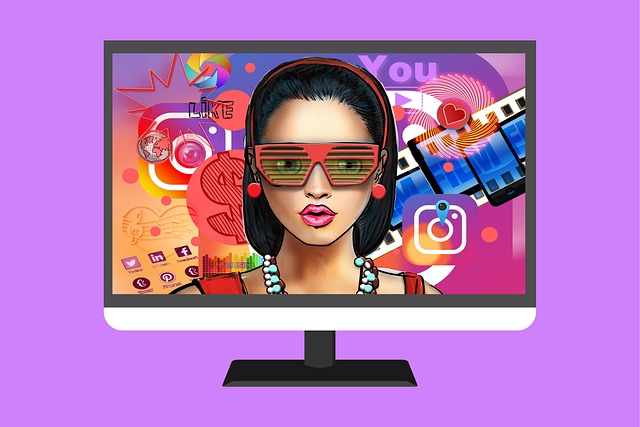 video blogger
