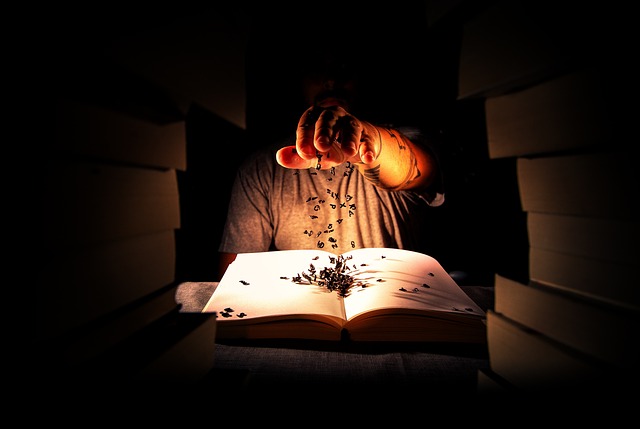 Hình ảnh minh họa ý nghĩa của từ vignette