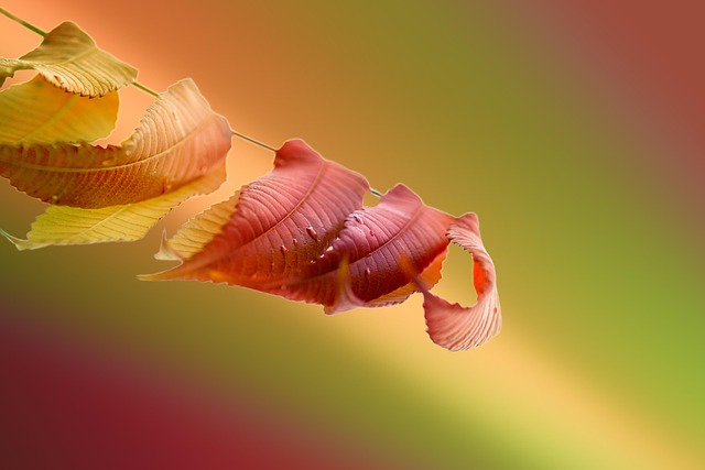 Hình ảnh minh họa ý nghĩa của từ vinegar-like