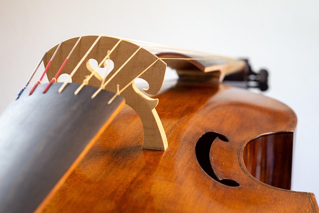 viola da gamba