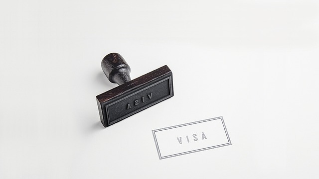 Hình ảnh minh họa ý nghĩa của từ visa