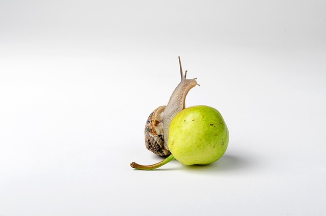 Hình ảnh minh họa ý nghĩa của từ viscose