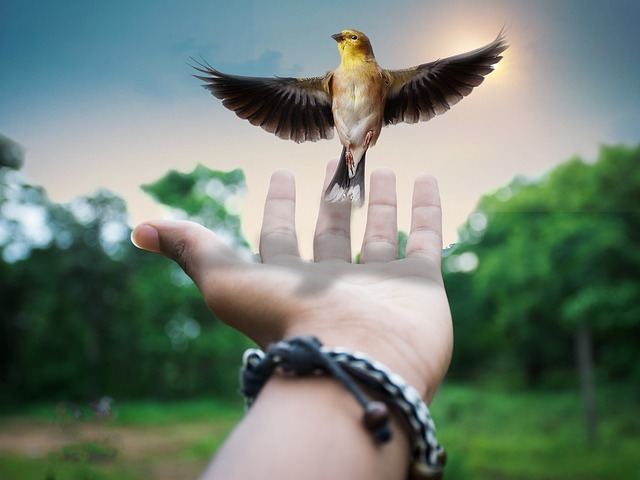 Hình ảnh minh họa ý nghĩa của từ vision