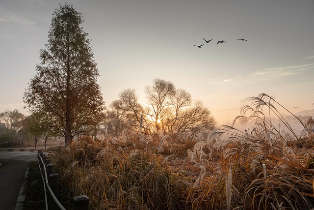 Hình ảnh minh họa ý nghĩa của từ visitors