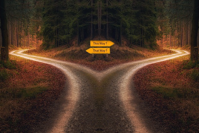 visual ambiguity