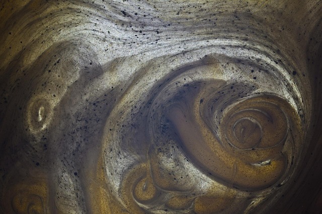 Hình ảnh minh họa ý nghĩa của từ vital