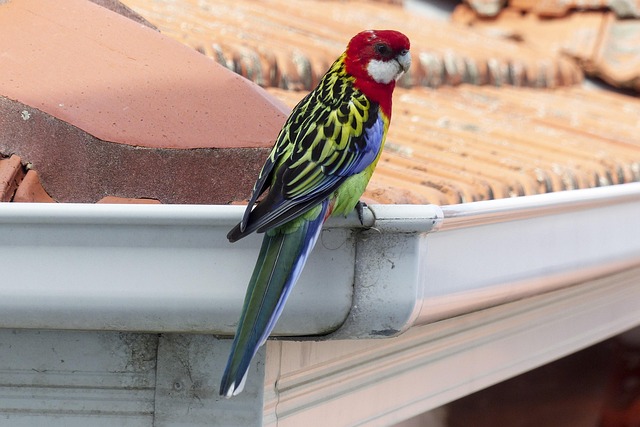 Hình ảnh minh họa ý nghĩa của từ vividly