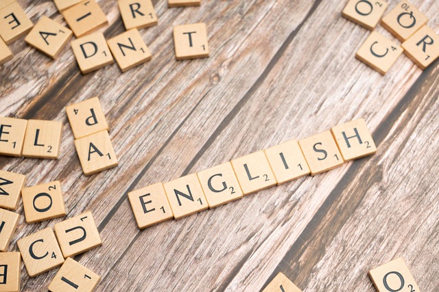 vocabulary acquisition