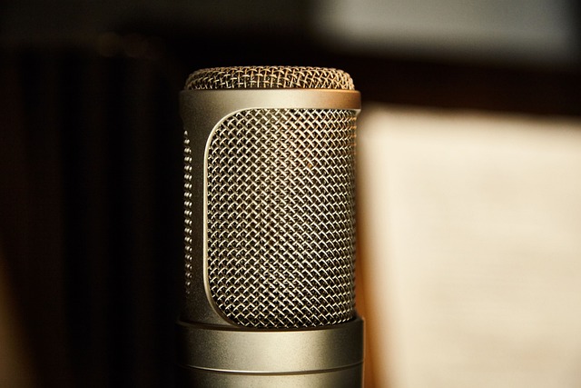 Hình ảnh minh họa ý nghĩa của từ vocal booth