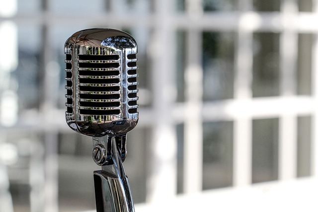 voice recognition