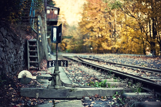 Hình ảnh minh họa ý nghĩa của từ voter turnout