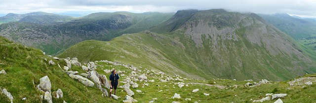wainwright