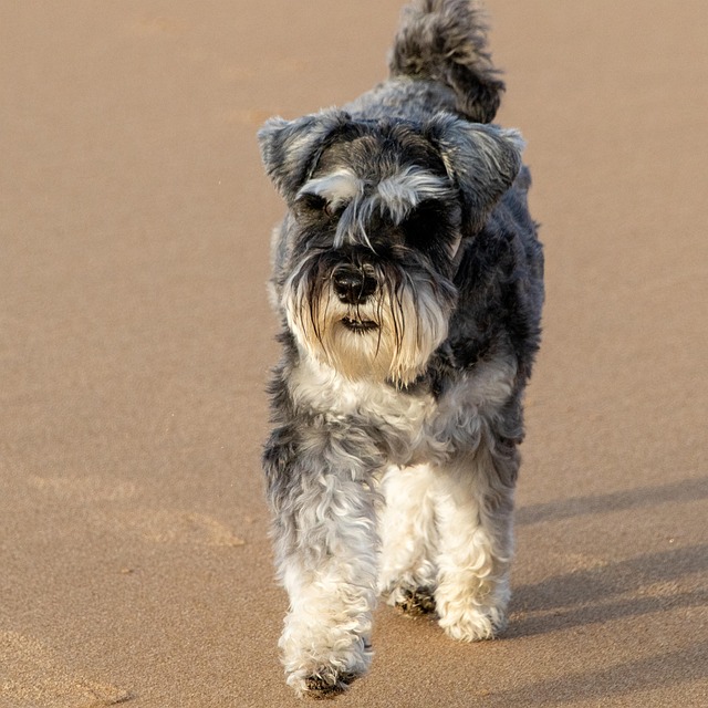 Hình ảnh minh họa ý nghĩa của từ waking