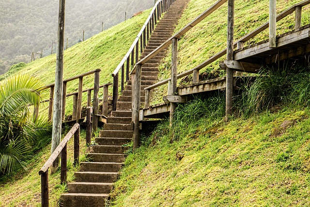 walk decisively