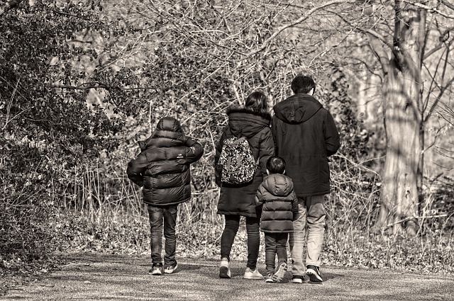 Walk in the park